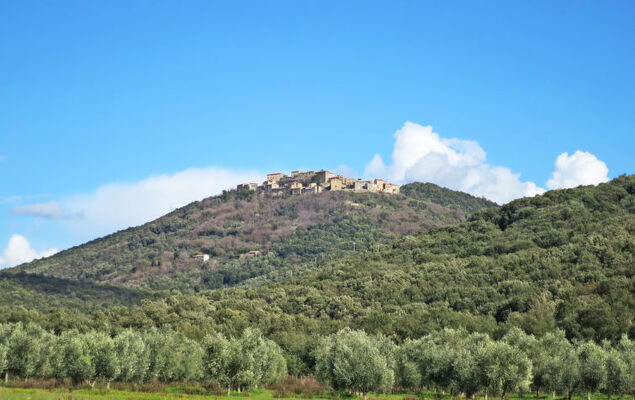 Casale Ulisse - Photo 32