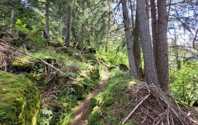 Lieblingsplatz - Photo 26