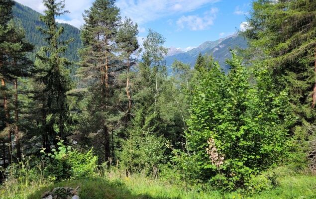 Lieblingsplatz - Photo 28