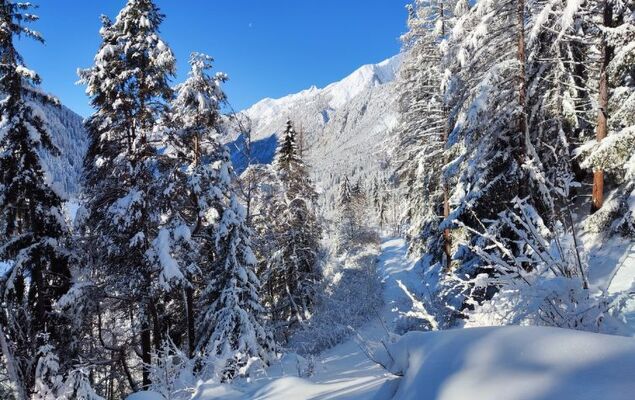 Lieblingsplatz - Photo 34