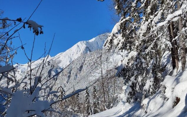 Lieblingsplatz - Photo 35