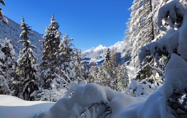 Lieblingsplatz - Photo 36