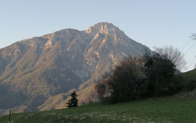Wiese - Photo 29